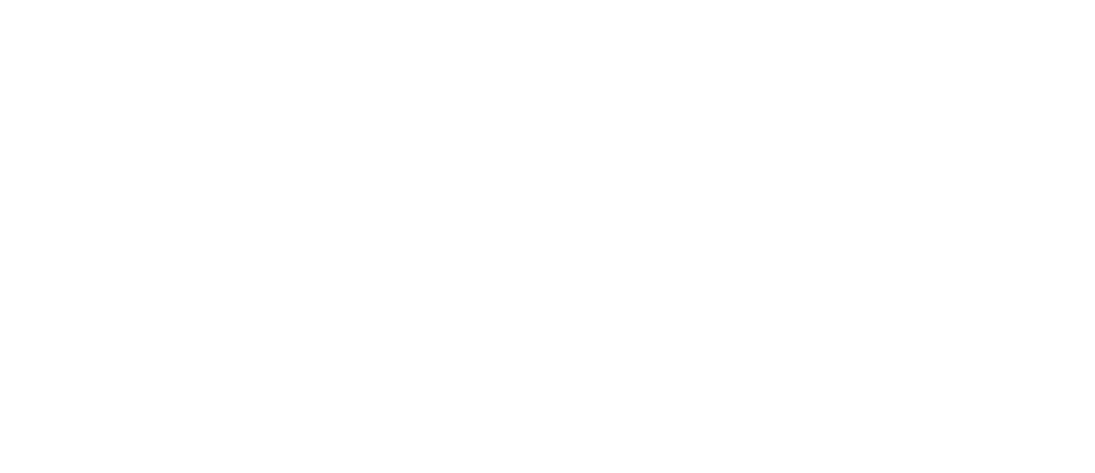 logo flaccovio