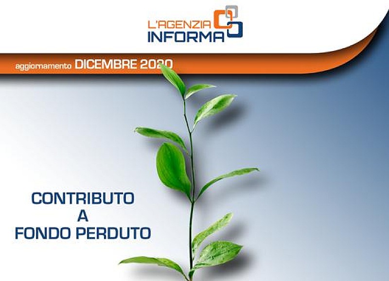 1_a_b_a-aba-contributo-fondo-perduto-guida-ent-dic