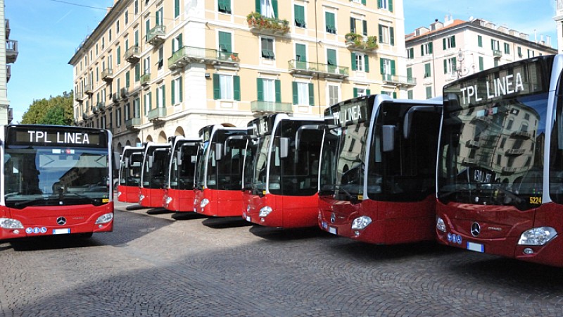 tpl bus moderni