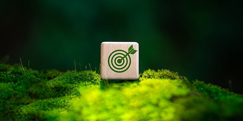 shutterstock_2690935795