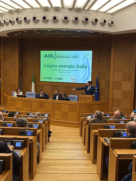 Evento_AIEL_Legno_Energia_Italia_1