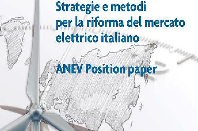 anev_position_paper