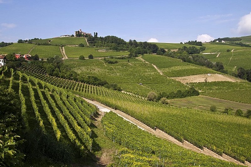 1_langhe-piemonte