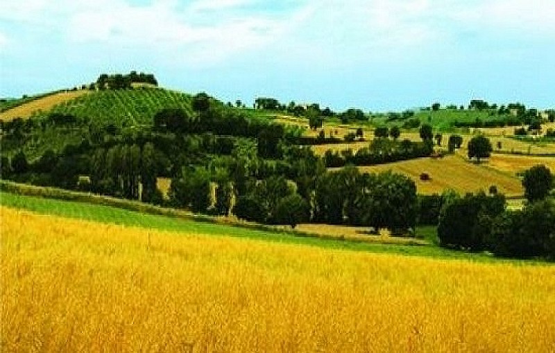 paesaggio_toscana